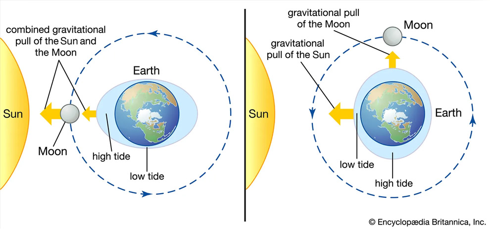 tidal forces diagram
