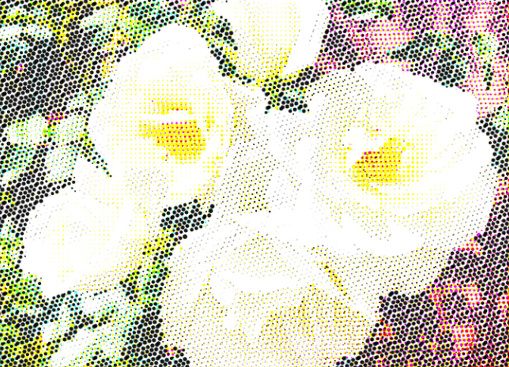 CMYK