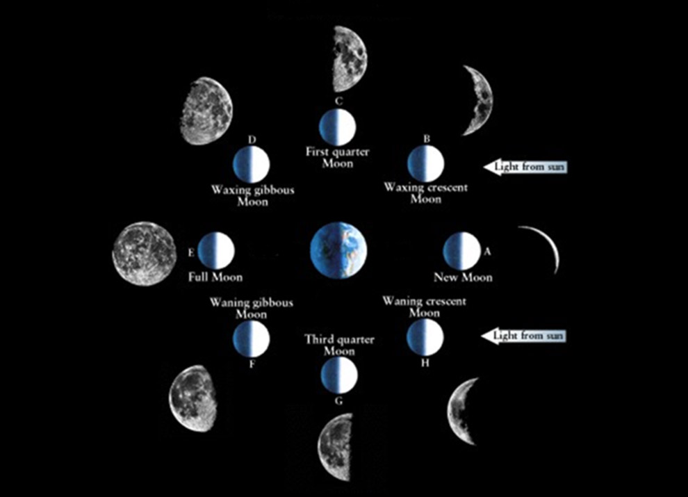 Moon Phases