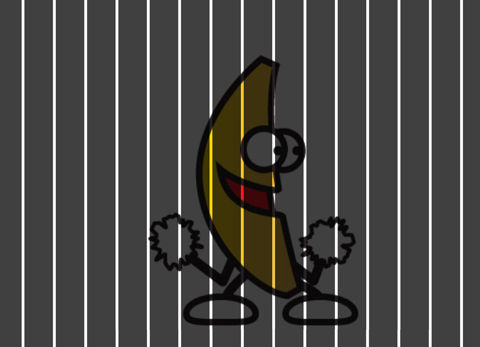 Scanimation